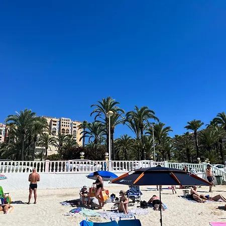 Cozy And Bright Locos *