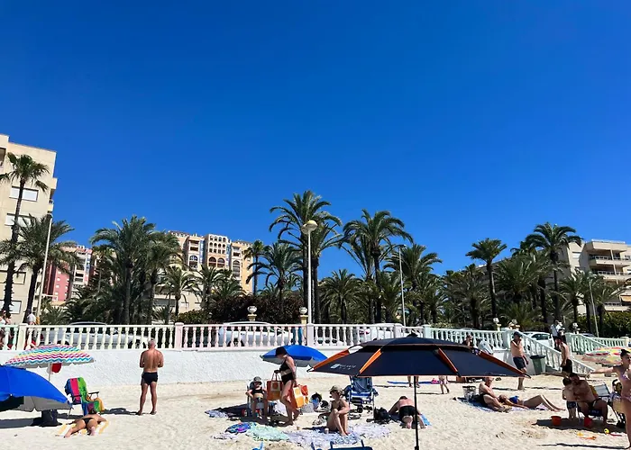 Cozy And Bright Locos *